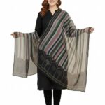 Elegant Striped Dupatta with Palm Tree Border Design, Multicolor Soft Silk dupatta for Women