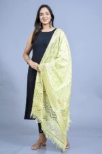 DIAMO Women's Woven Banarasi Silk Zari Dupatta/Chunni - Image 4
